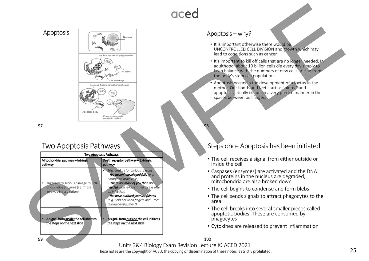 Units 3&4 Biology Exam Revision Notes 2026