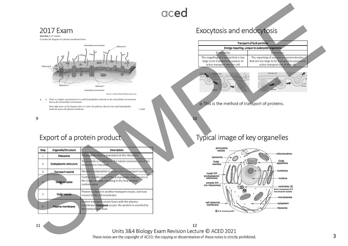 Units 3&4 Biology Exam Revision Notes 2026